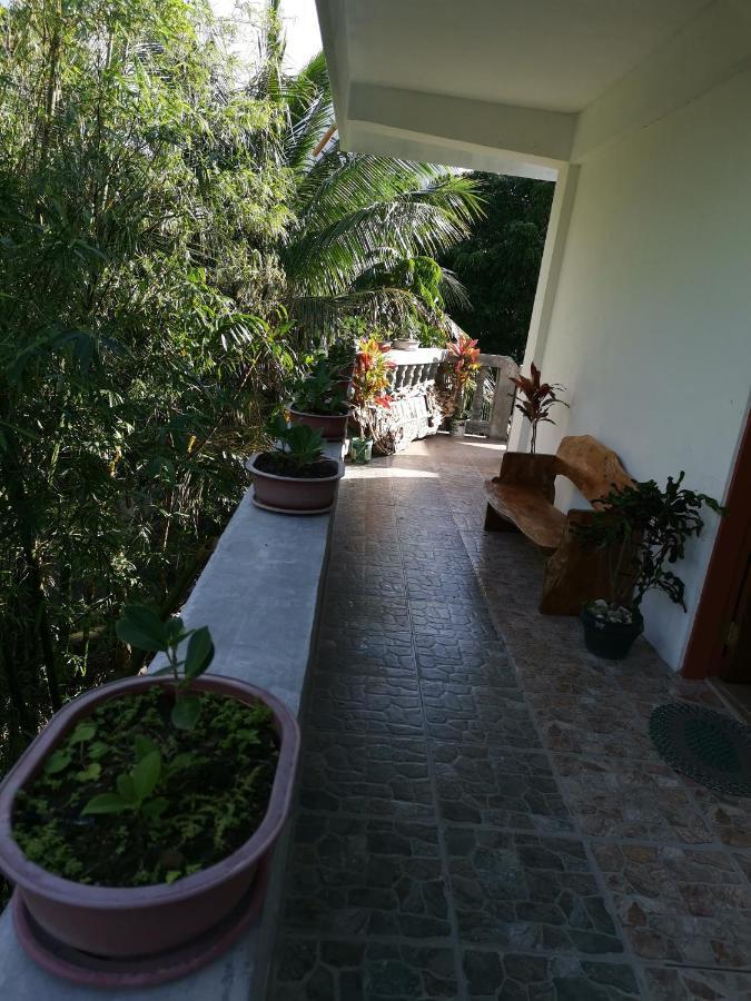 Anvel Homestay Баско Екстериор снимка